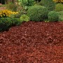 OBI Gartendekor Pinie als Dekormulch im Gartenbeet, rote Holzschnitzel
