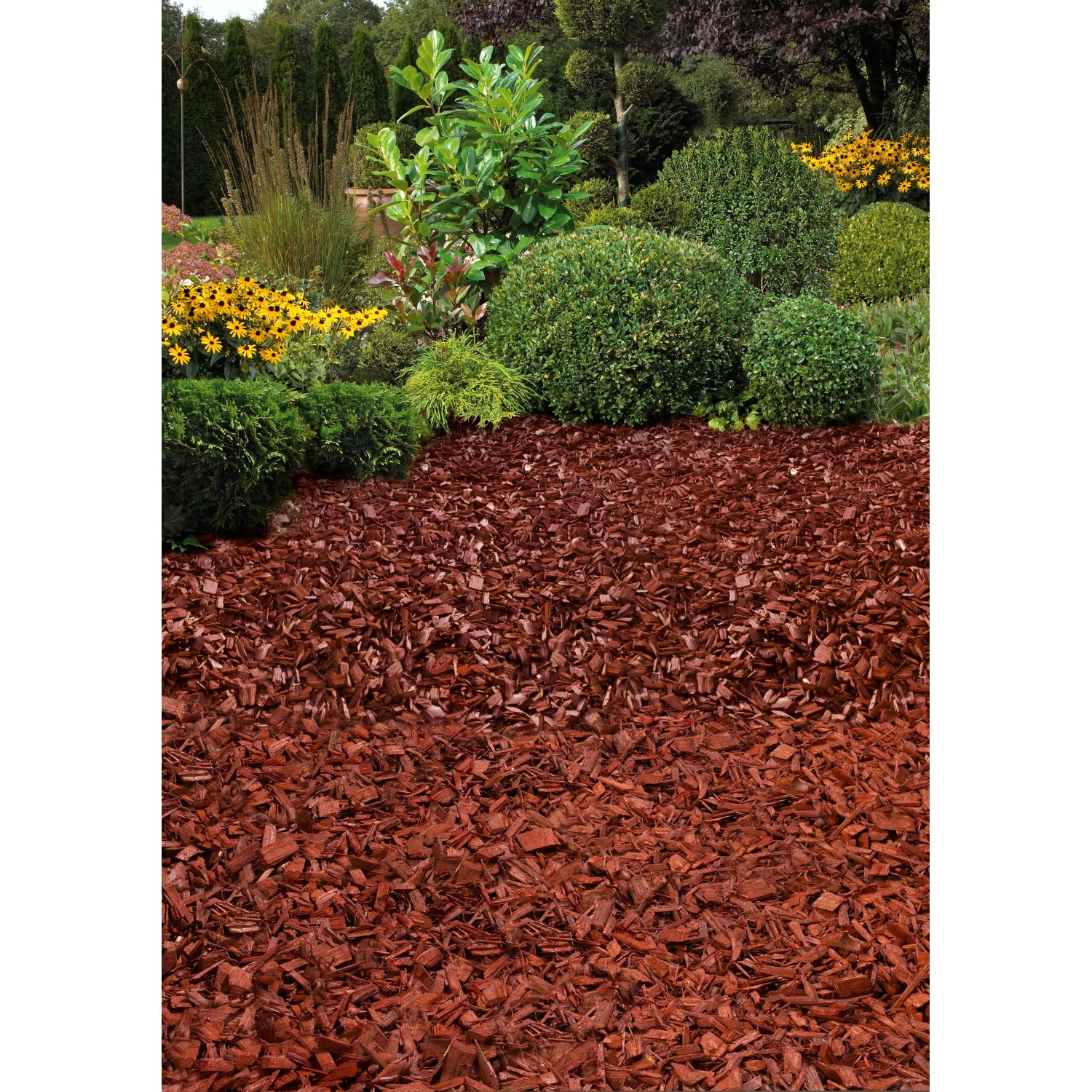 OBI Gartendekor Pinie als Dekormulch im Gartenbeet, rote Holzschnitzel