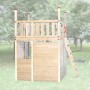 Tabaluga Verkleidung für Spielturm 816 D aus naturbelassenem Nadelholz mit Leiter.