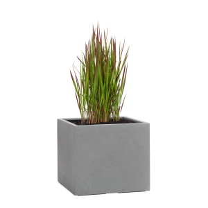 Grauer Pflanzwerk® Pflanzkübel Cube, 30x34x34 cm, mit Bepflanzung. Ideal für Innen- und Außenbereich.