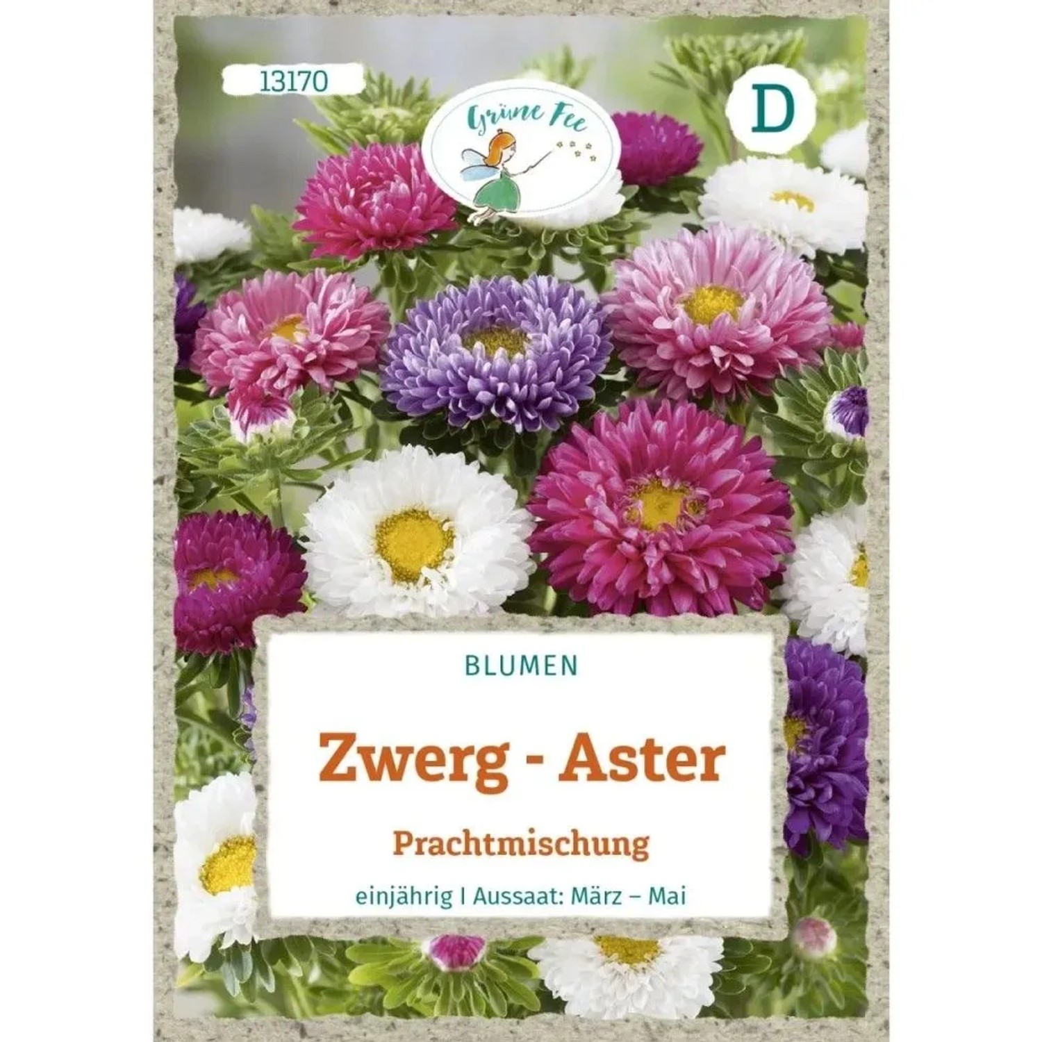 Grüne Fee Zwerg-Aster Prachtmischung Saatgut