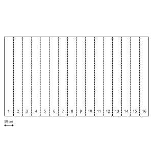 Schema der Sanders & Sanders Fototapete Blumen Multicolor auf Schwarz, bestehend aus 16 Bahnen à 50 cm.