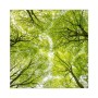 Banjado Schlüsselkasten Glas mit Baum-Motiv, 30x30cm, 50 Haken, beschreibbar und magnetisch.