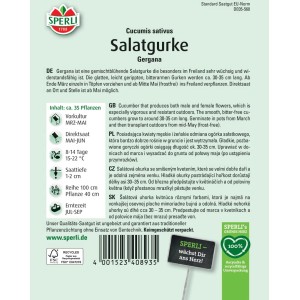 Sperli Salatgurke Gergana Samenpackung, Freilandgurke, ca. 35 Pflanzen.