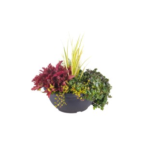 Herbstschalen-Mix Fall in Love in grauer Schale, ca. 19 cm Ø, mit winterharter Herbstbepflanzung.