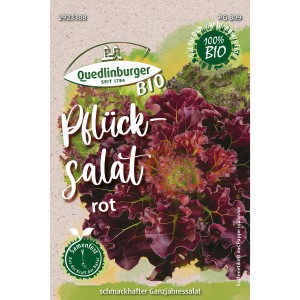 Bio-Pflücksalat Rot von Quedlinburger, samenfeste Sorte für Beet, Balkon und Hochbeet.