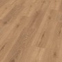 Click-Vinylboden SPC Dschibuti Eiche, Detailansicht der Holzstruktur.
