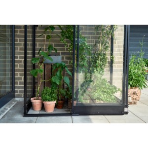 Schwarzes Halls Anlehngewächshaus Qube Lean-to 24 mit Pflanzen und Kräutern.