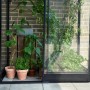 Schwarzes Halls Anlehngewächshaus Qube Lean-to 24 mit Pflanzen und Kräutern.