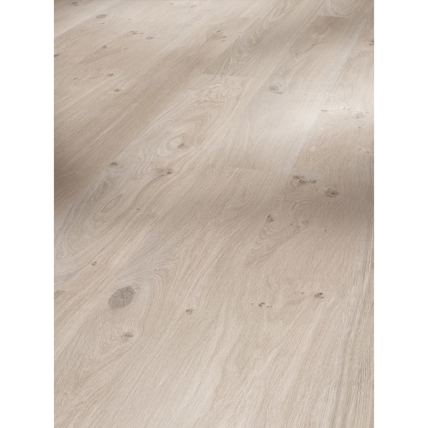 Parador Laminat Basic 200, 7mm, wasserfest, Eiche Natur Grau. Laminatboden in Holzoptik.
