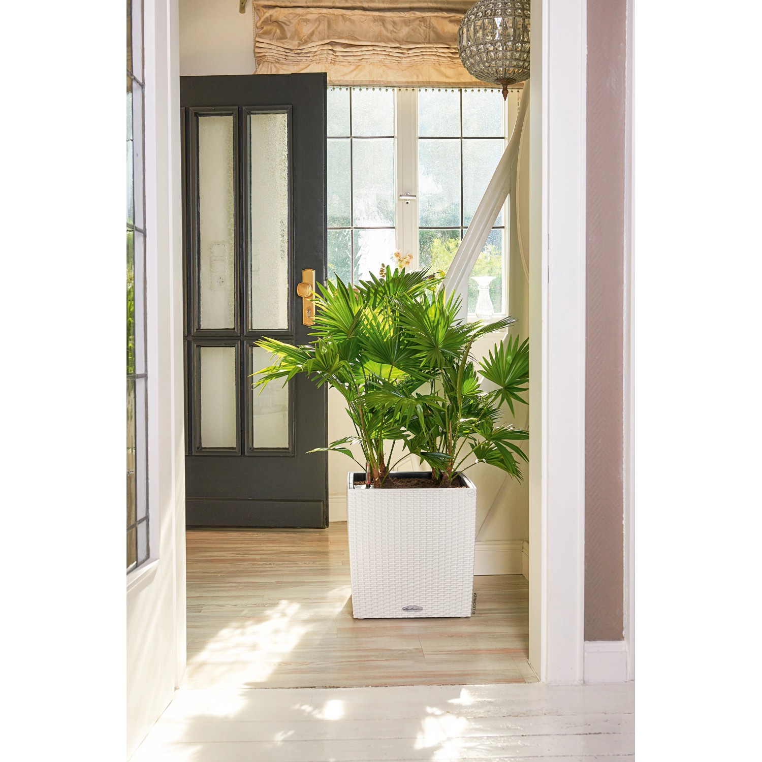 Weißer Lechuza Cube Cottage Pflanzkübel 30x30x30 cm mit Pflanze im Eingangsbereich.