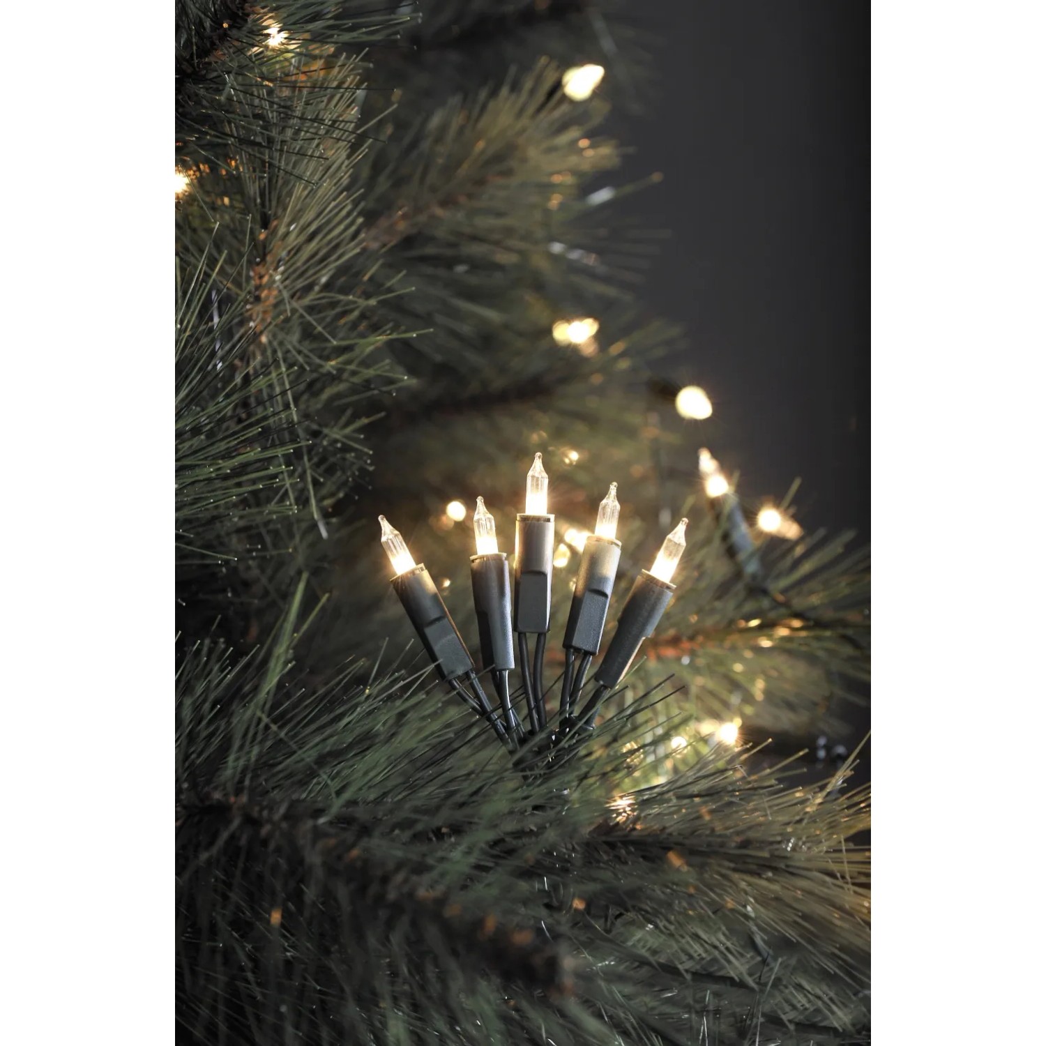 Konstsmide Mini LED Lichterkette mit 10 warmweißen LEDs für den Innenbereich.