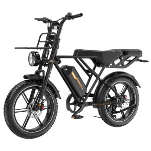RCB G19 E-bike 20×4,0Zoll 22,5Ah Akku Reichweite 120-130KM 250W 7-Gang APP NFC