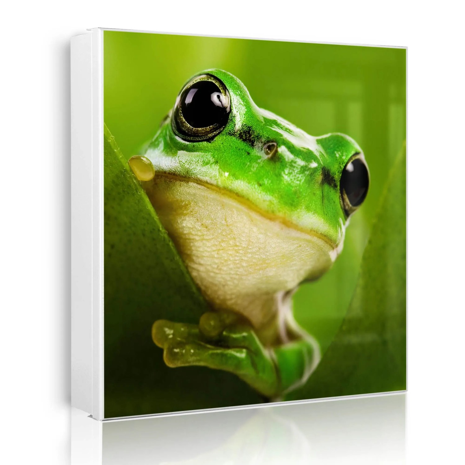 Banjado Großer Schlüsselkasten Metall 30x30cm Weiß Scharnier Links 50 Haken Beschreibbar Magnetisch Motiv Frosch