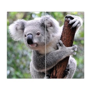 2-teilige Glas Herdabdeckplatte mit Koala Motiv, 30x52cm, auch als Schneidebrett nutzbar.
