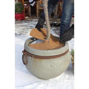 Videx Garden Kokos-Disc, Ø 37 cm, im Einsatz in einem Pflanzkübel.