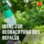 Compo BIO Buchsbaumzünslerfalle mit Lockstoff zur Befallskontrolle im Garten.