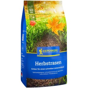 Kiepenkerl Herbstrasen, 1kg Packung Rasensaat für die Herbstnachsaat.