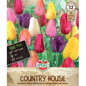 Sperli Tulpen Landhaus Mix, verschiedene Farben wie rosa, gelb, lila und orange.