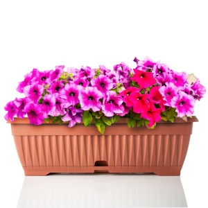 BigDean 3x Blumenkasten Balkon mit Untersetzer Terracotta 50 cm Balkonkasten Pflanzkasten Blumenkasten mit Wasserspeicher für Innen und Außenbereich