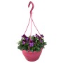 Hornveilchen-Ampel mit violetten Blüten im pinken Topf, hängend. Bepflanzte Schale für Balkon und Terrasse.