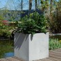 Grauer Vivanno Pflanzkübel Block in Betonoptik, 50x50x50 cm, mit Bepflanzung im Garten.