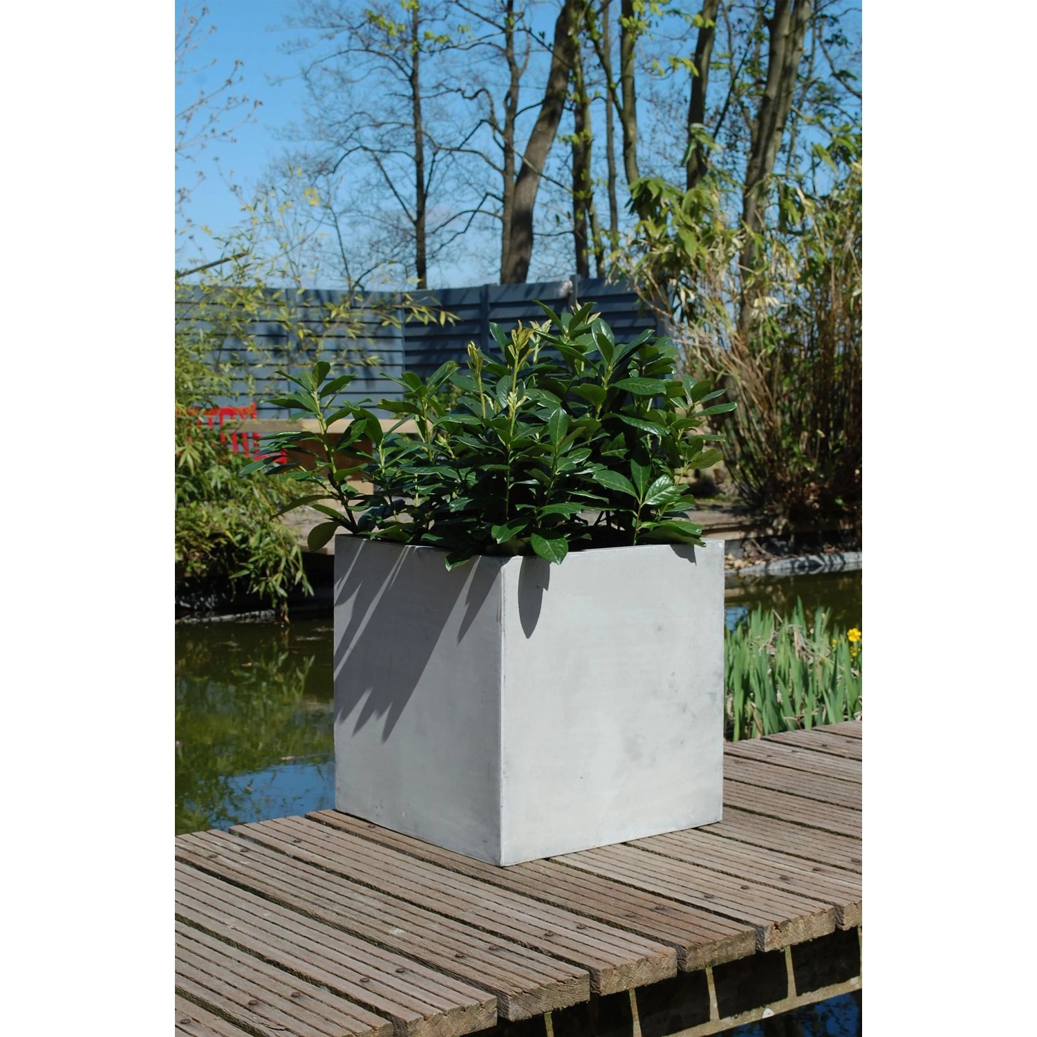 Grauer Vivanno Pflanzkübel Block in Betonoptik, 50x50x50 cm, mit Bepflanzung im Garten.