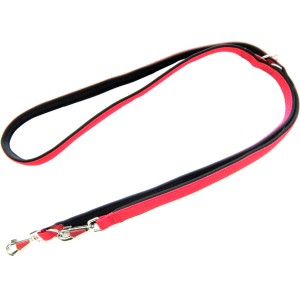 Rote Heim Hundeleine mit Neoprenfutter, 20 mm breit und 200 cm lang.