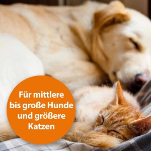 Schlafender Hund und Katze, geeignet für mittlere bis große Hunde und größere Katzen.