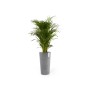 Ecopots Pflanztopf Amsterdam, halbhoch, grau, 34x66 cm, mit grüner Pflanze.