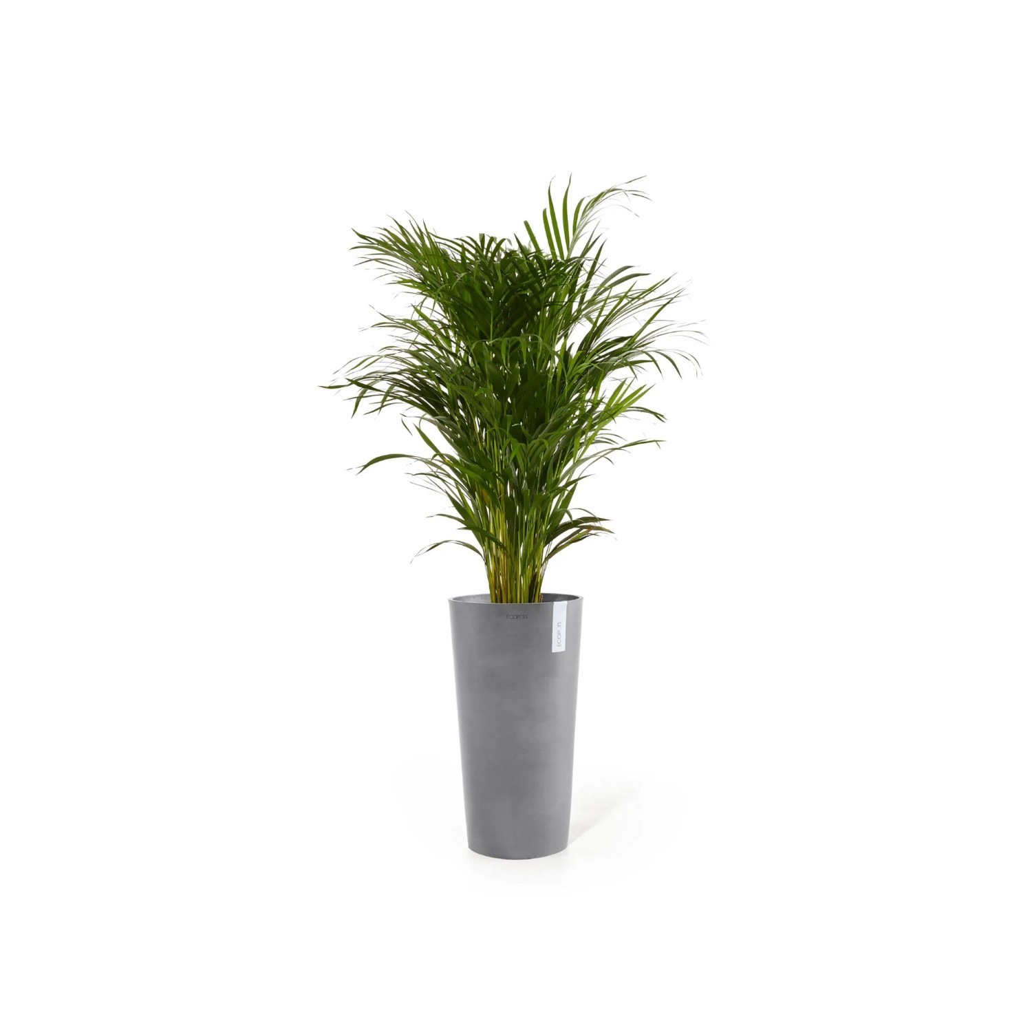 Ecopots Pflanztopf Amsterdam, halbhoch, grau, 34x66 cm, mit grüner Pflanze.