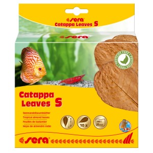 Sera Seemandelbaumblätter Catappa Leaves S, 10 Stück. Braune Blätter, Diskusfisch und Garnele im Aquarium.