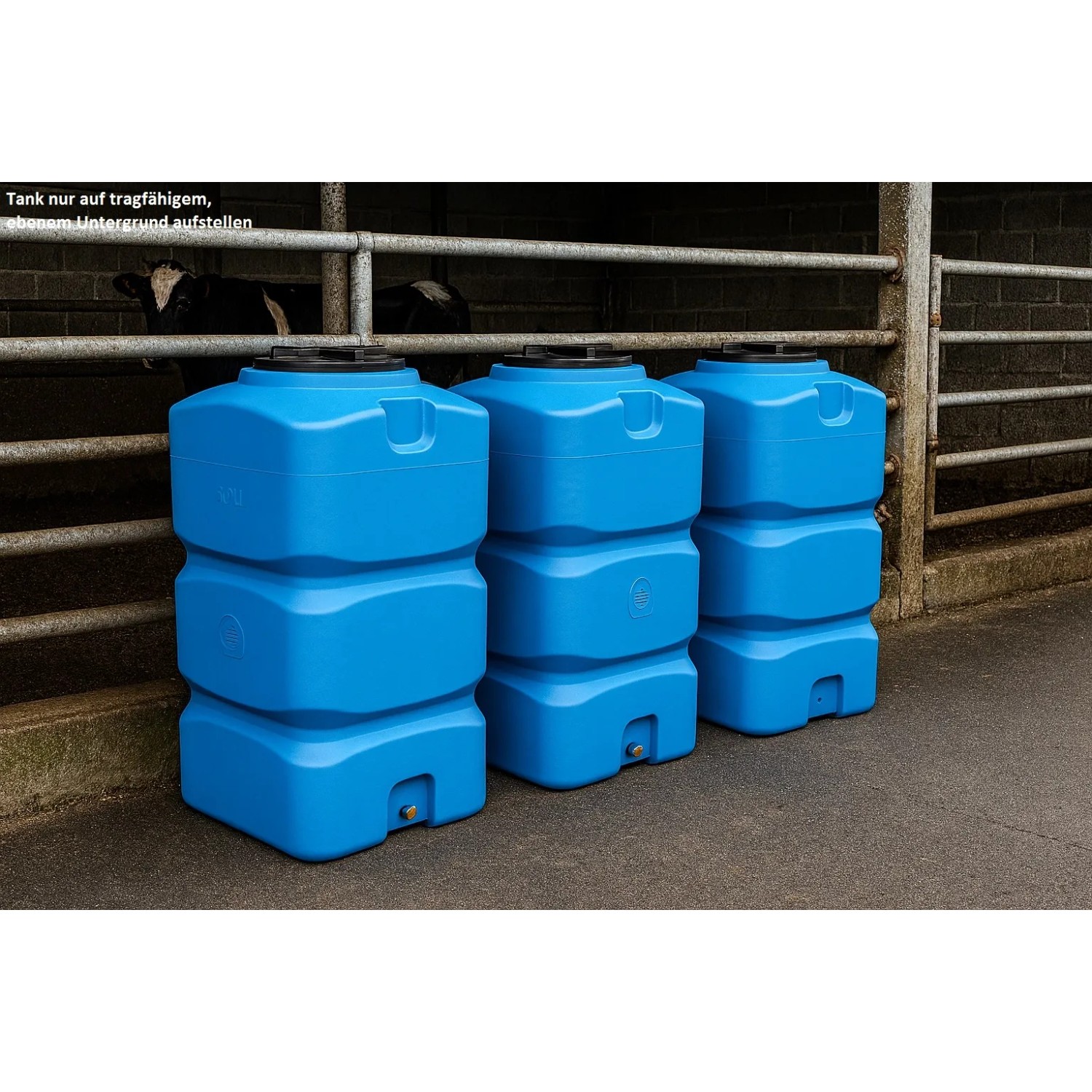 Drei blaue, quadratische KMND 500L Wassertanks aus PE mit schwarzem Deckel, für Trinkwasser oder Regenwasser. Regentonnen.