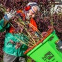 Mann bedient Zipper ZI-HAEK4100 Elektro-Häcksler mit Ästen vor Garten.