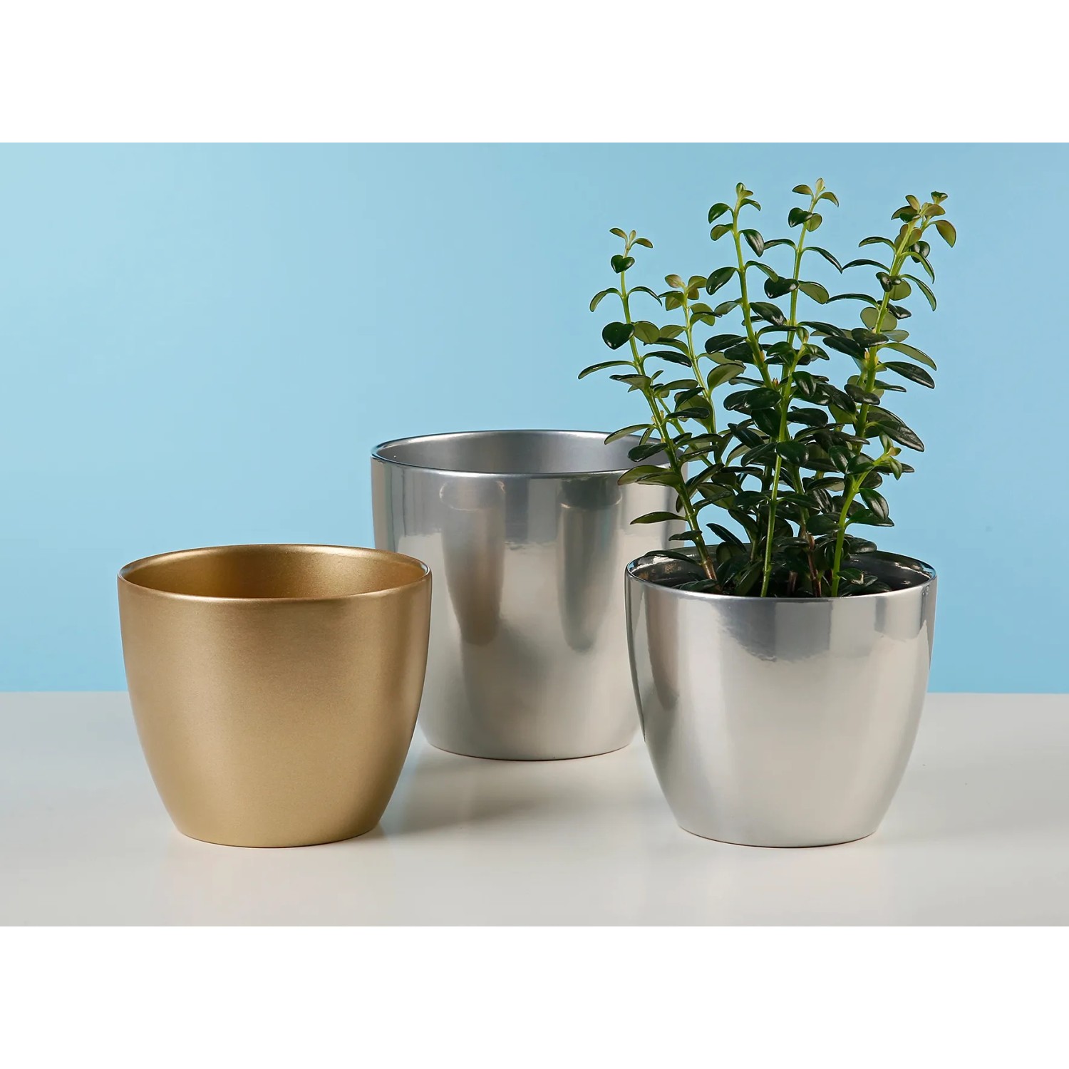 Scheurich Blumentopf Keramik 920 Ø 16 cm kaufen bei OBI