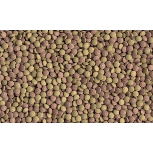 Tetra TabiMin Aquarium Fischfutter Pellets, Tabletten für Bodenfische und scheue Fische.