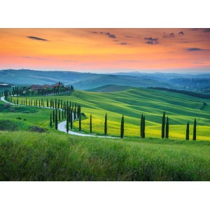 Fototapete Toskana Landschaft mit Zypressenallee, grüne Hügel und Sonnenuntergang.