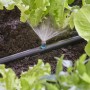 Gardena Sprühdüse 90° im Einsatz: Bewässerung für Beetecken mit Micro-Drip-System.