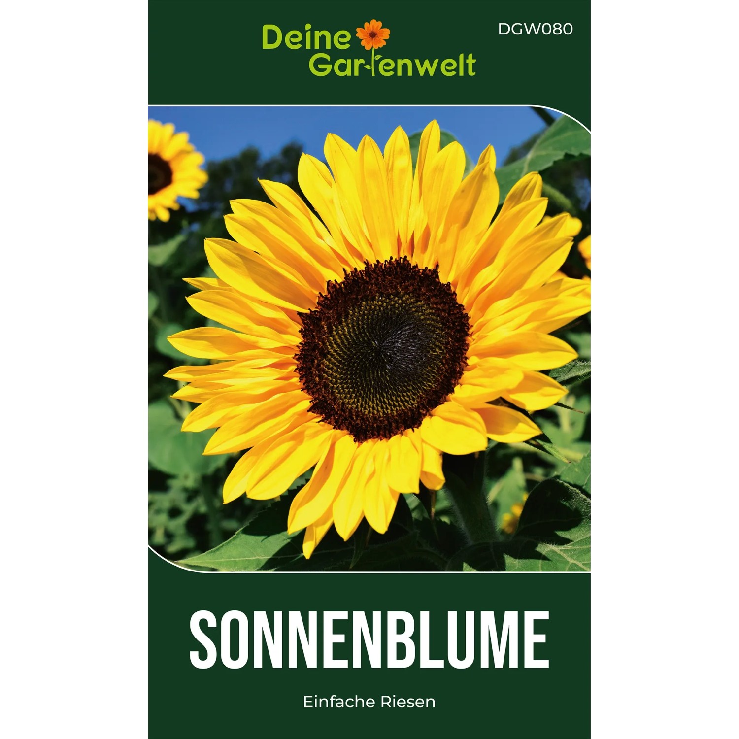 Deine Gartenwelt Sonnenblumen Einfache Riesen Samen