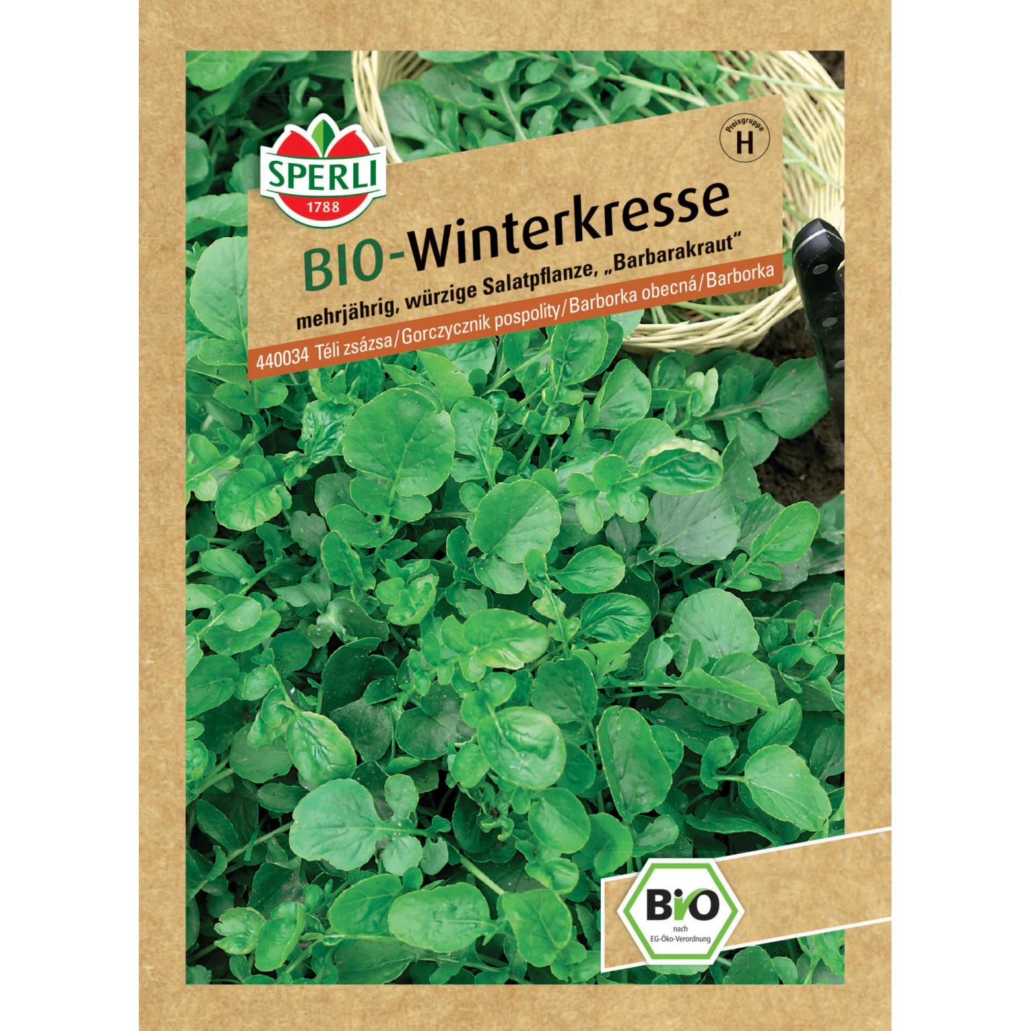 Sperli BIO Oregano Saatgut - Winterhartes Küchenkraut Für Garten & Balkon