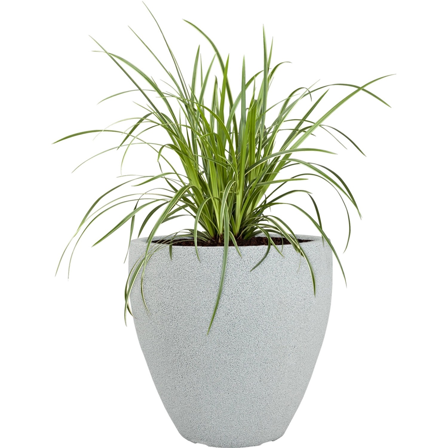 Grauer Pflanzwerk® Pflanzkübel Cup (Ø 40cm) mit grüner Pflanze. Ideal für Innen- und Außenbereich.