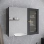 Vicco Badspiegelschrank Malte, grau, 60x50cm, mit Spiegeltür und Regal.