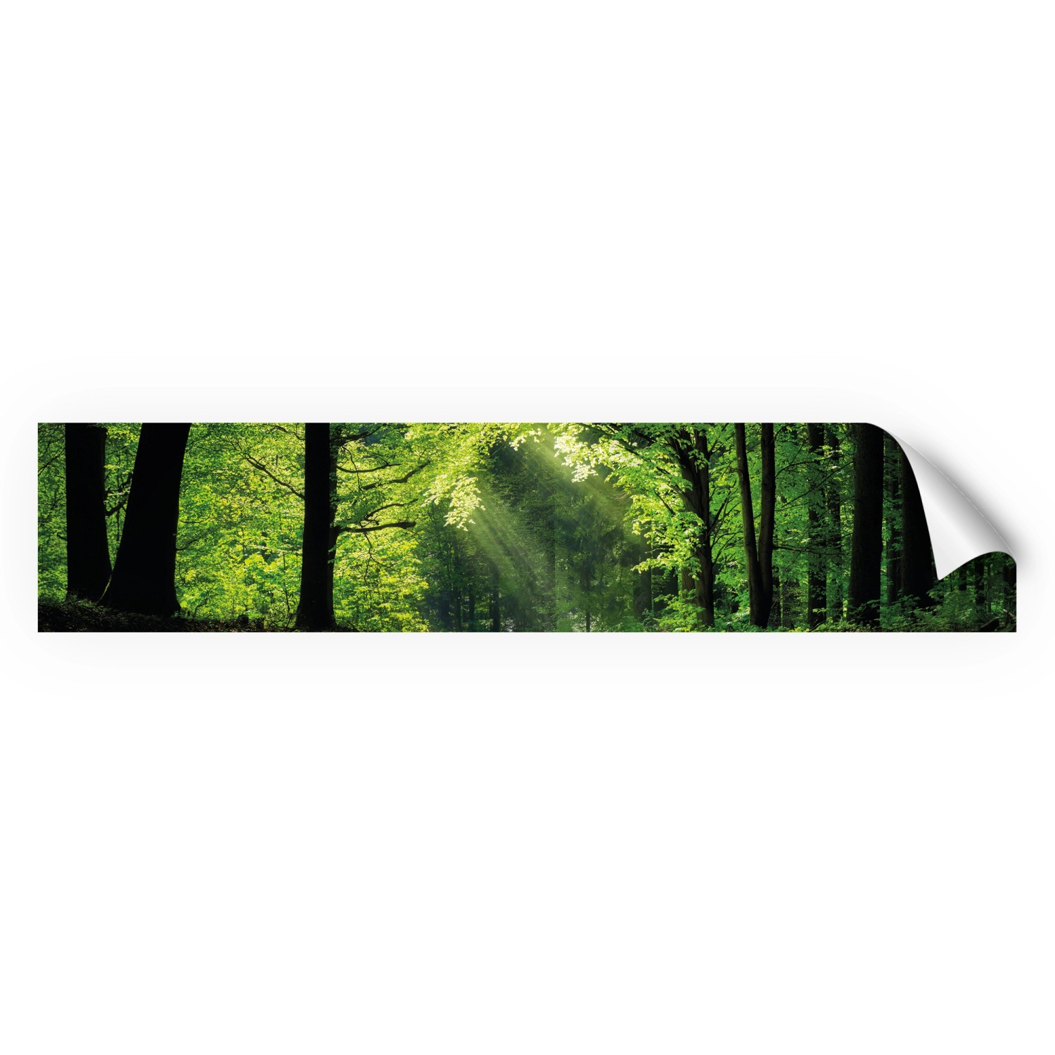 Myspotti Küchenrückwandfolie Sommerwald Selbstklebend 280 cm x 60 cm
