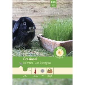 Pabst Keimkraft Grasinsel Heimtier- und Ostergras Saatgut mit schwarzem Kaninchen.