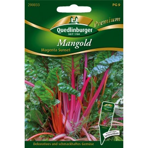 Samenpackung Quedlinburger Mangold Magenta Sunset mit pink-roten Stielen und grünen Blättern.
