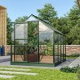 Vitavia Gewächshaus Venus 5000, grüne Aluminiumkonstruktion mit Pflanzen im Garten.