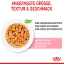 Royal Canin Kitten Nassfutter Gelee, Katzenfutter für Kätzchen, 85g Portion.