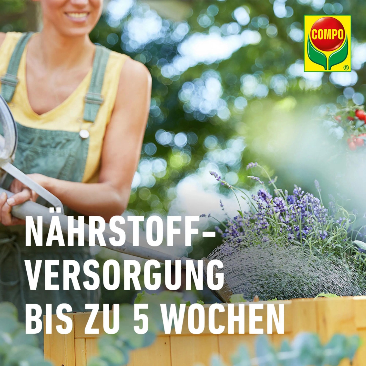 Frau gießt Mini-Hochbeet mit Compo BIO Hochbeeterde für ökologisches Gärtnern.
