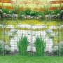 Bellissa Teichschutzzaun Ambiente, grüne Draht-Elemente mit Bodenanker umranden einen Gartenteich.