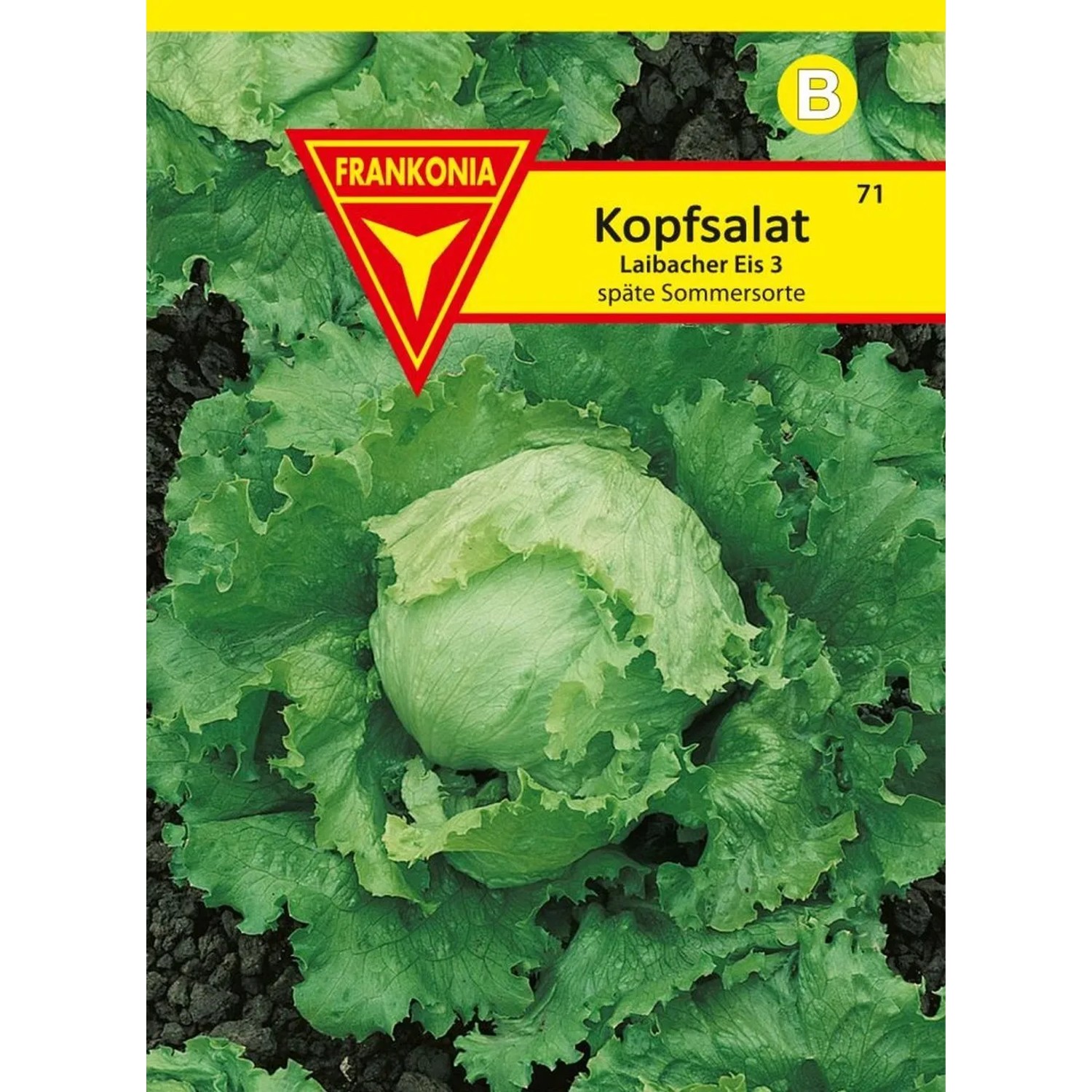 FRANKONIA Kopfsalat Laibacher Eis 3